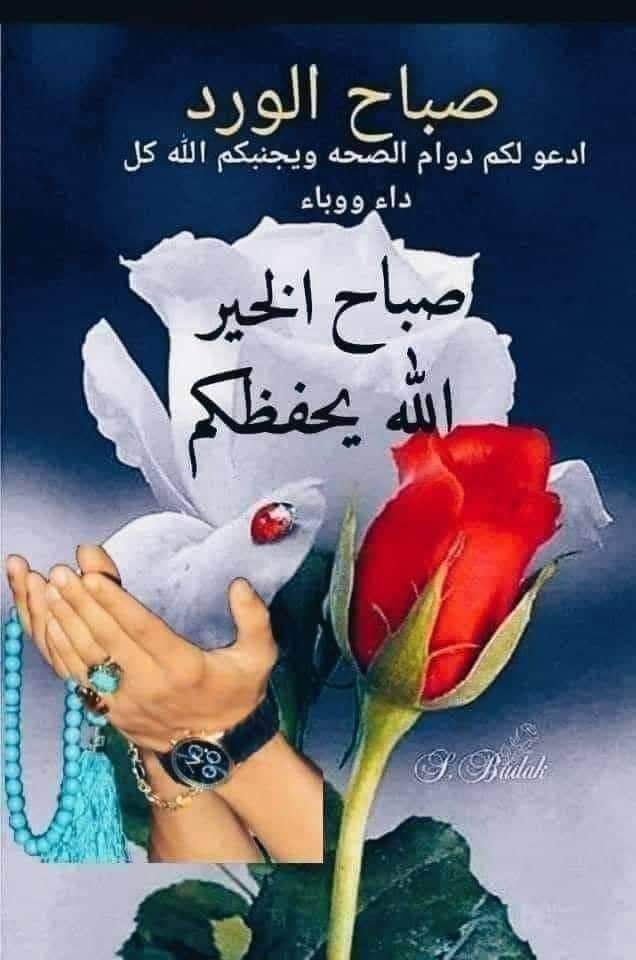 Ahmd Aleee_3jT5d