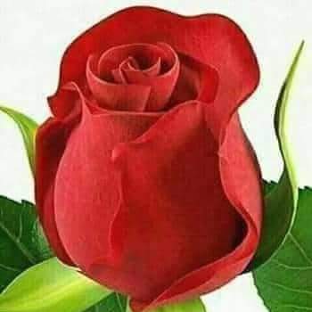 ���� ���_Umqte