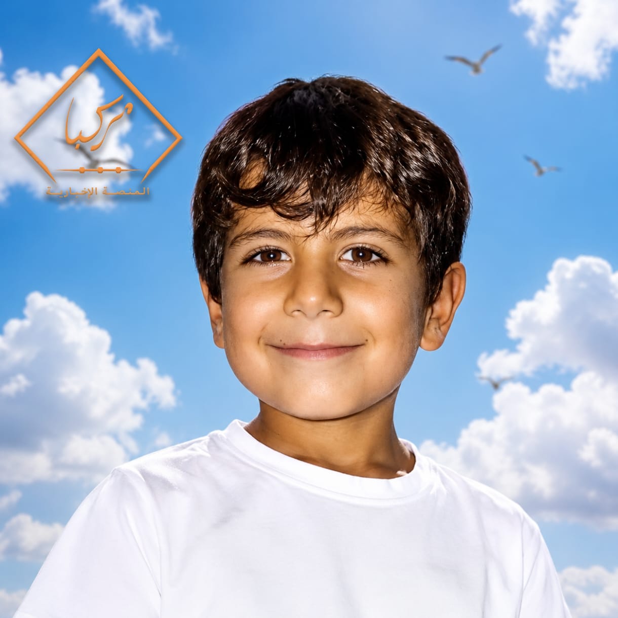 ali ali_CcZkc